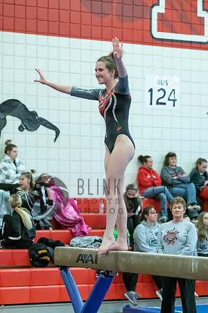 Moon Invitational - bars and beam (445 of 499)