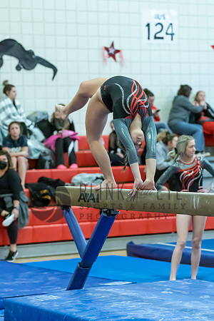 Moon Invitational - bars and beam (345 of 499)