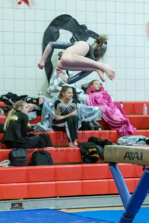 Moon Invitational - bars and beam (424 of 499)