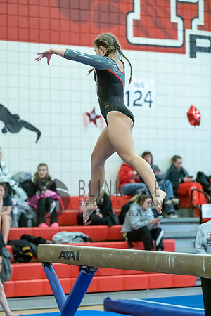 Moon Invitational - bars and beam (337 of 499)
