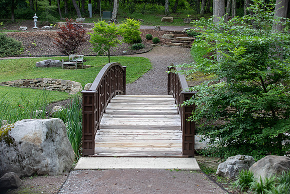 Botanic Gardens (4 of 40)