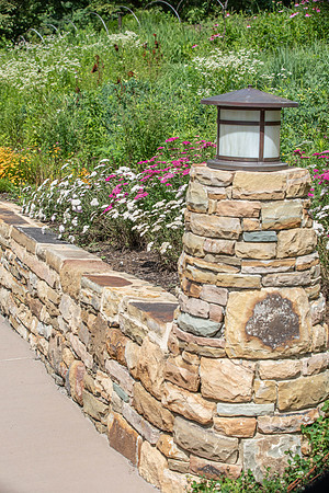 Botannical Gardens (24 of 40)