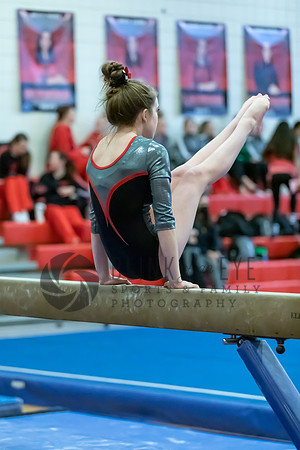Moon Invitational - bars and beam (431 of 499)