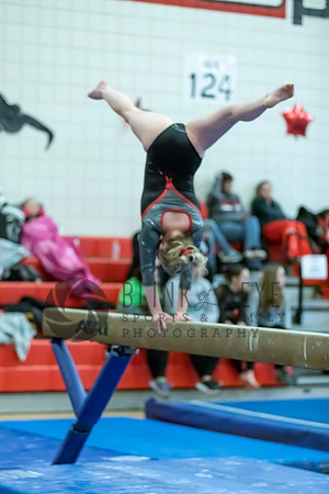 Moon Invitational - bars and beam (469 of 499)