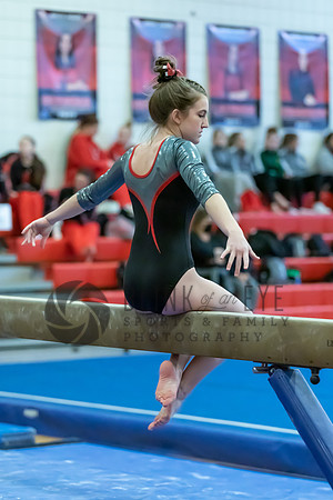 Moon Invitational - bars and beam (432 of 499)