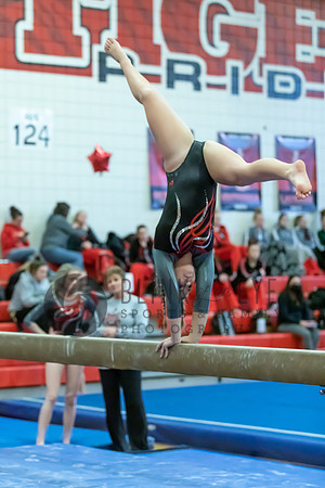 Moon Invitational - bars and beam (353 of 499)