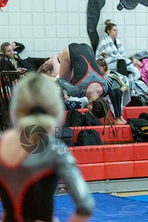 Moon Invitational - bars and beam (399 of 499)