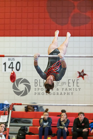 Moon Invitational - bars and beam (64 of 499)