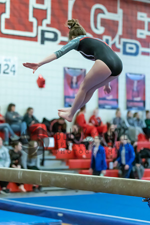 Moon Invitational - bars and beam (440 of 499)