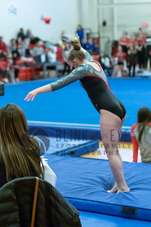 Moon Invitational - bars and beam (497 of 499)