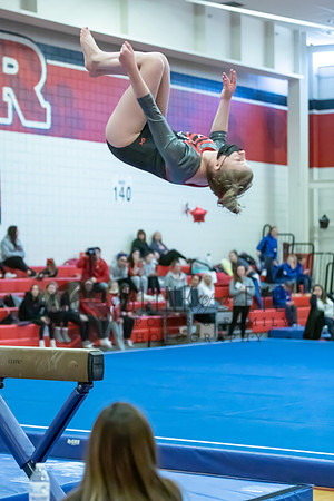 Moon Invitational - bars and beam (494 of 499)