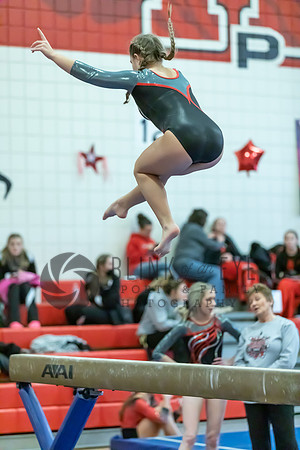 Moon Invitational - bars and beam (364 of 499)