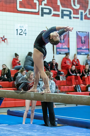 Moon Invitational - bars and beam (350 of 499)