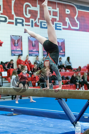 Moon Invitational - bars and beam (491 of 499)