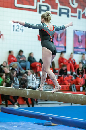 Moon Invitational - bars and beam (478 of 499)