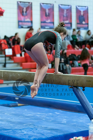 Moon Invitational - bars and beam (430 of 499)