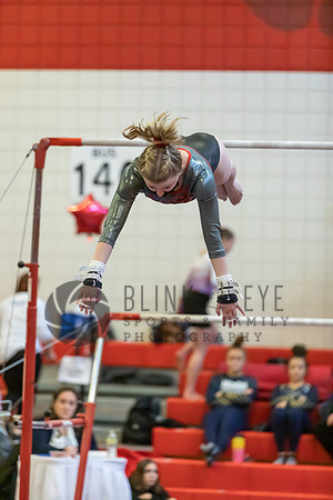 Moon Invitational - bars and beam (147 of 499)