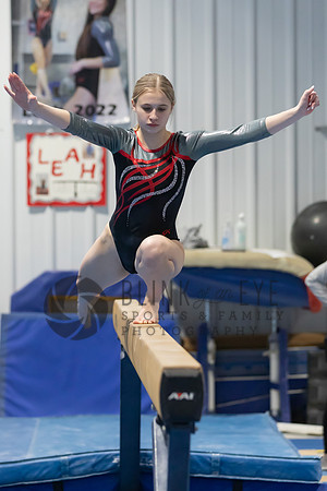 Balance Beam (67 of 213)