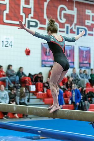 Moon Invitational - bars and beam (441 of 499)