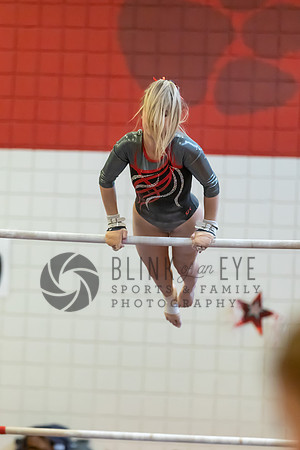 Moon Invitational - bars and beam (25 of 499)