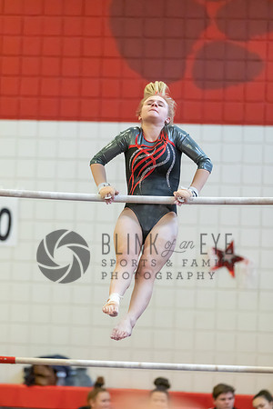 Moon Invitational - bars and beam (24 of 499)