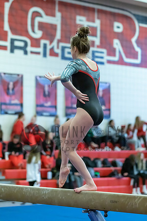Moon Invitational - bars and beam (434 of 499)