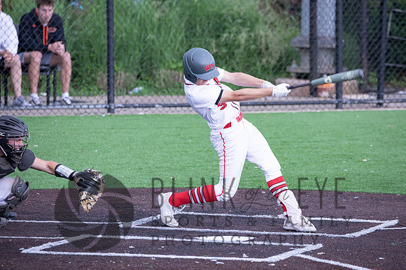 PIAA Quarterfinals (135 of 218)