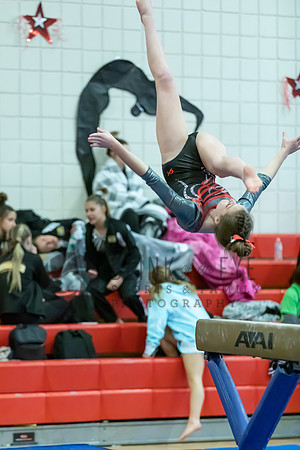 Moon Invitational - bars and beam (452 of 499)