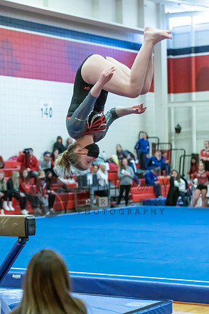 Moon Invitational - bars and beam (495 of 499)