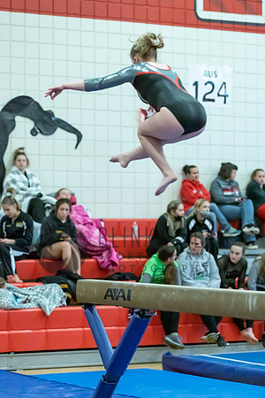 Moon Invitational - bars and beam (485 of 499)