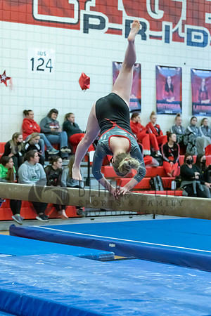 Moon Invitational - bars and beam (465 of 499)