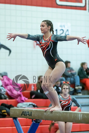 Moon Invitational - bars and beam (395 of 499)