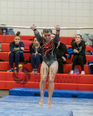 Moon Invitational - bars and beam (38 of 499)