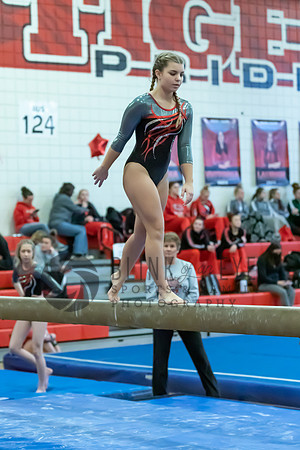 Moon Invitational - bars and beam (367 of 499)