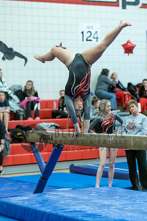 Moon Invitational - bars and beam (347 of 499)