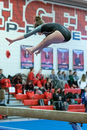 Moon Invitational - bars and beam (436 of 499)
