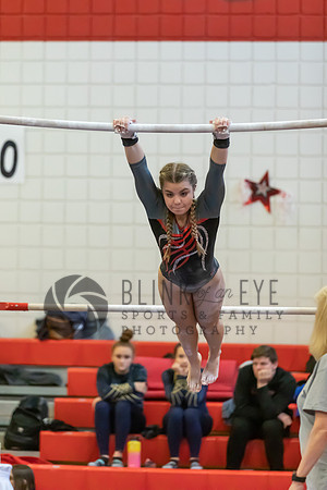 Moon Invitational - bars and beam (52 of 499)
