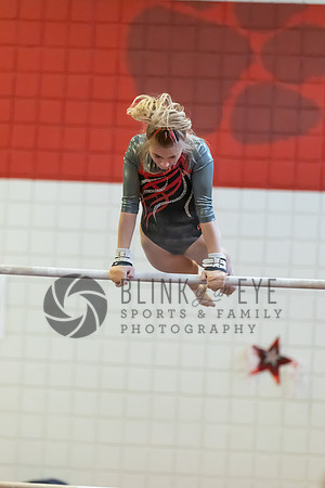 Moon Invitational - bars and beam (26 of 499)