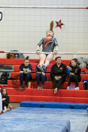 Moon Invitational - bars and beam (16 of 499)