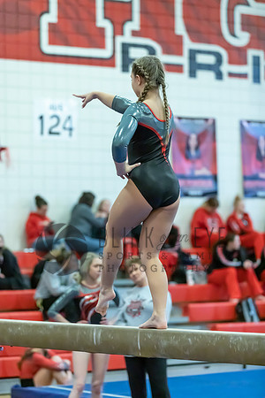 Moon Invitational - bars and beam (362 of 499)
