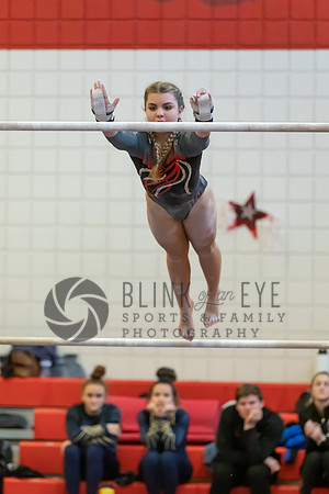 Moon Invitational - bars and beam (46 of 499)
