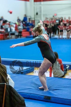 Moon Invitational - bars and beam (498 of 499)