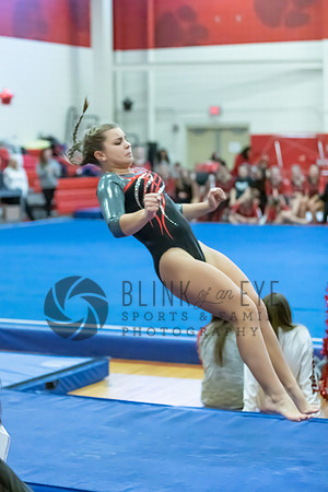 Moon Invitational - bars and beam (372 of 499)