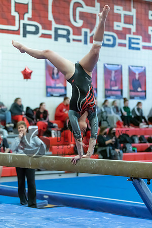 Moon Invitational - bars and beam (386 of 499)
