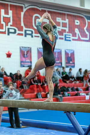 Moon Invitational - bars and beam (361 of 499)