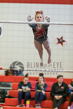 Moon Invitational - bars and beam (20 of 499)