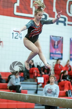 Moon Invitational - bars and beam (305 of 499)