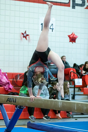 Moon Invitational - bars and beam (468 of 499)