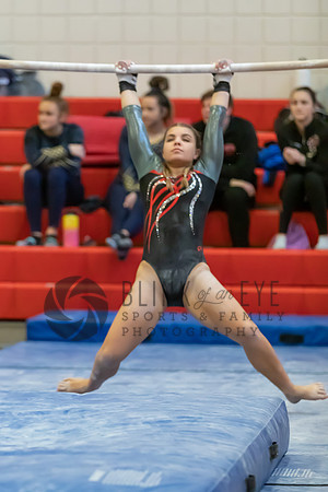 Moon Invitational - bars and beam (34 of 499)