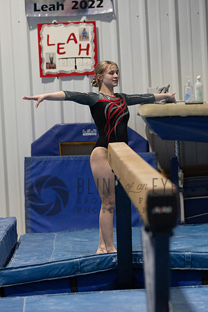 Balance Beam (85 of 213)